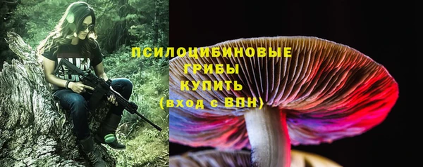а пвп мука Арсеньев