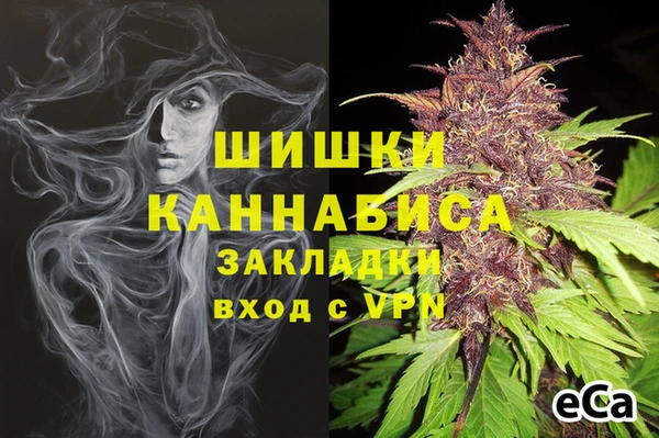 PSILOCYBIN Аркадак