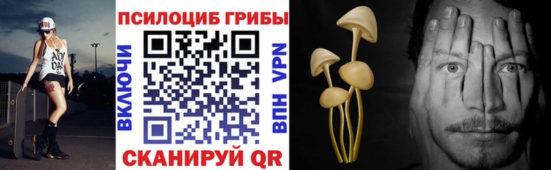 blacksprut ссылки Тырныауз Галлюциногенные грибы Magic Shrooms